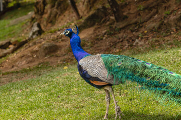 pav&atilde;o na cidade de Vila Velha, Estado do Espirito Santo, Brasil