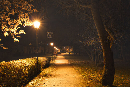 Stadtpark - Nacht - Park - Zossen - Brandenburg - Deutschland - Teltow Fl&auml;ming - City - Night - Lantern - Germany -  Trees - Street Lights - Autumn -  Streetlamps