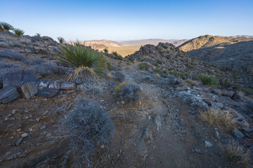 hiking the lost horse mine loop trail in joshua tree national park, california, usa