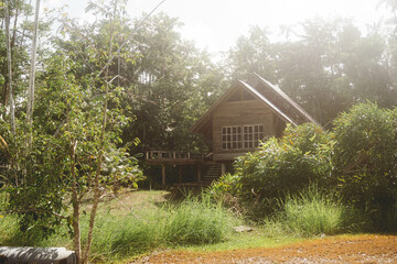 Carbet de l'île d'Arouaba, sur le Maroni