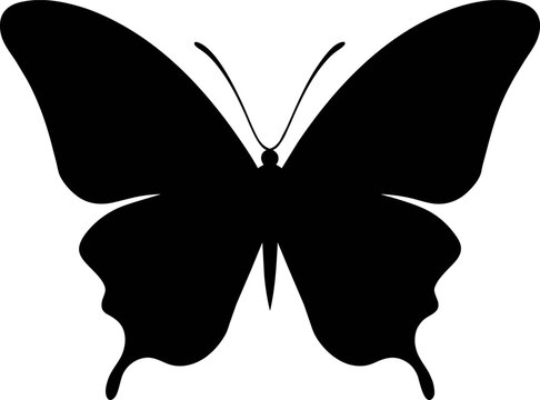 Butterfly silhouette. Hand drawn vector illustration. Isolated element on white background. Best for seamless patterns, posters, cards, stickers and your design.