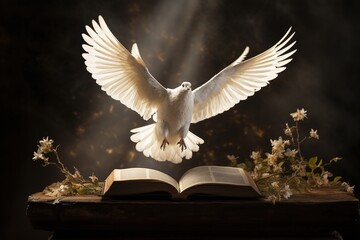 A dove with outstretched wings over an open Bible in the sunlight - obrazy, fototapety, plakaty