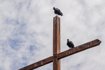 cruzeiro na cidade de Vitória, Estado do Espirito Santo, Brasil