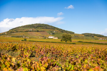Mont Brouilly et son vignoble produisant l’un des meilleurs vins du Beaujolais