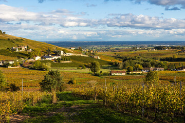 Vignoble du Mont Brouilly, l’un des plus beau terroir du Beaujolais