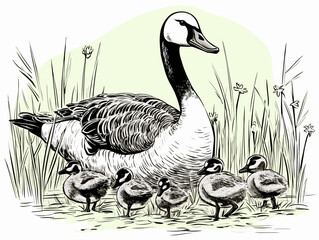 A Black And White Drawing Of A Goose With Ducklings - Goose with goslings and eggs on green grass.