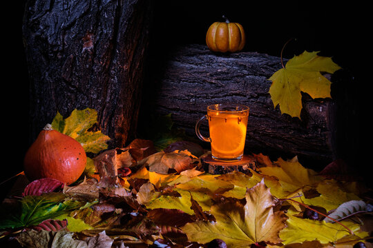 mulled beer with spices between halloween pumpkins