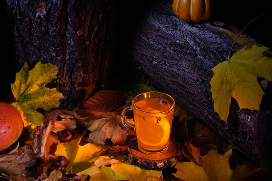 mulled beer with spices from above in halloween concept