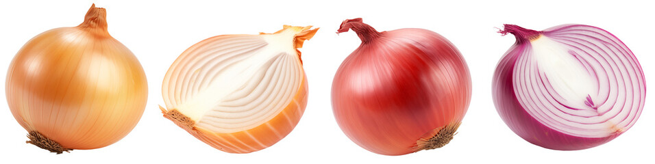 Raw onion collection isolated on a white background, vegetable bundle