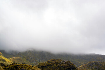 Summit of the Routeburn mountain trail with lush vegetation in the clouds, New Zealand