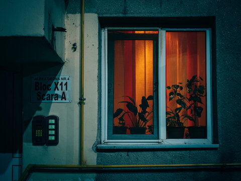 Plants in window at night in Aurel Vlaicu, Arad, Romania