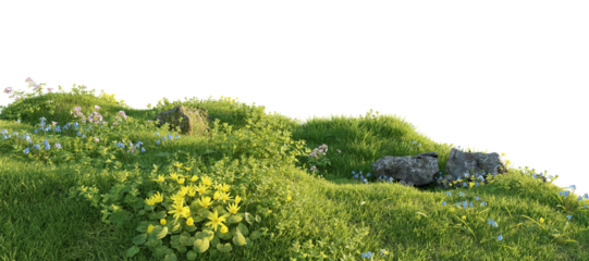 Verdant Hill Blooming with Yellow Flowers in Spring. 3D render.