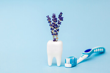 White tooth and toothbrush on blue background. Close up. Dental health concept. Flat lay....