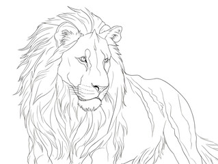 A Drawing Of A Lion - Picture of lion of high-res with an artistic background