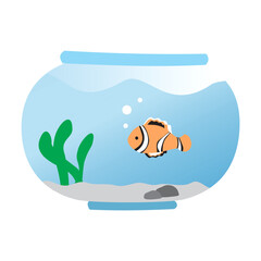 Naklejka premium fish in the aquarium
