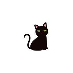 black cat in white background