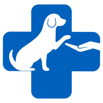 Illustration caring for pets. Dog on the background of hand with a medical cross