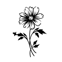 Ethereal Cosmos Flower Vector Illustration