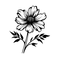 Ethereal Cosmos Flower Vector Illustration