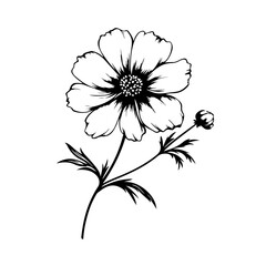 Ethereal Cosmos Flower Vector Illustration