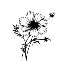 Ethereal Cosmos Flower Vector Illustration