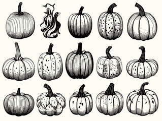 A Collection Of Pumpkins - Pumpkins picks and ready for sale.