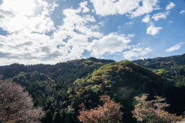 色づき始めた山々