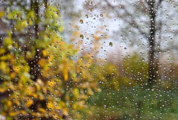 Autumn rain on the glass - 680312616