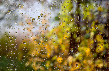 Autumn rain on the glass - 680312617