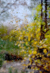 Autumn rain on the glass - 680312628