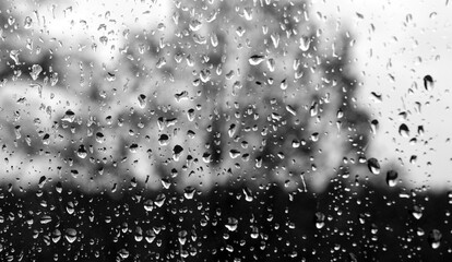 Autumn rain on the glass