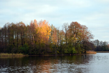 Autumn colours  of season