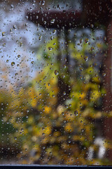 Autumn rain on the glass - 680312844