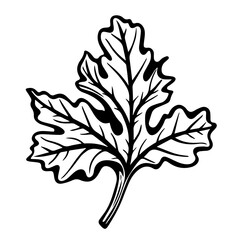 Autumnal Fall Leaf Vector Illustration