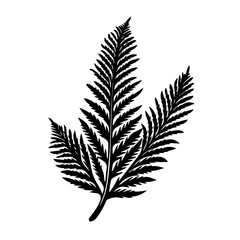 Autumnal Fall Leaf Vector Illustration