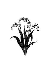 Elegant Lily of the Valley Vector Illustration