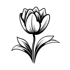 Graceful Tulip Flower Vector Illustration
