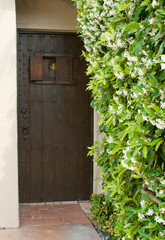 old wooden door in a green garden