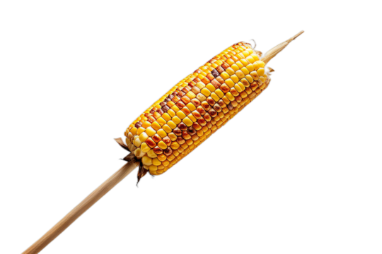 Milho assado no palito. Milho no espeto