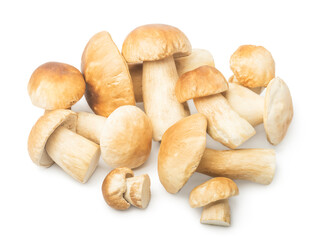 Autumn Cep Mushrooms Picking. Gourmet food
- 680316815
