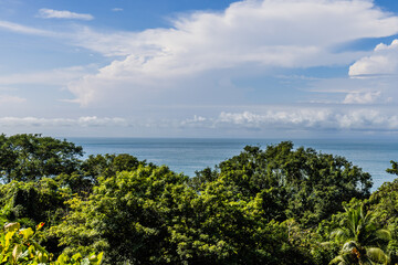 Fototapeta na wymiar Rainforest Manuel Antonio Costa Rica