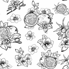 linear sketch of passion fruit with flowers and vanilla with pods and flowers seamless pattern,...