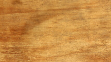 Textured Plywood Surface Detail