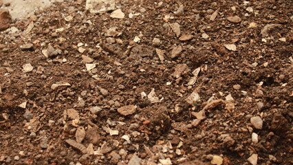 Textured Dirty Soil Surface