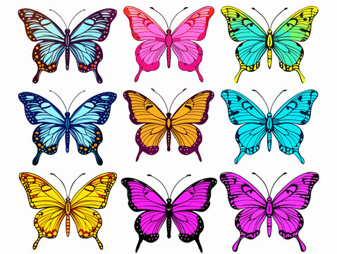A Collection Of Colorful Butterflies - Colorful butterfly s set