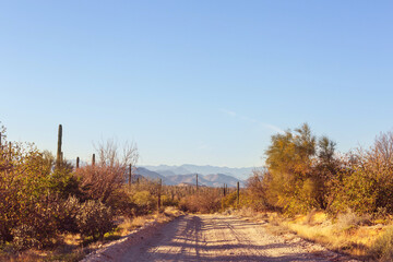 Road in Baja