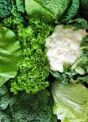 cabbage of different types and greens close-up
