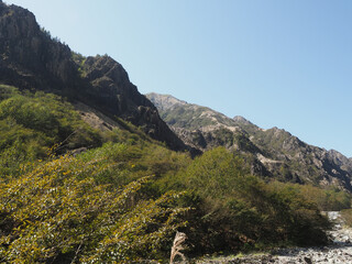 October 2021 after the Ashio Copper Mine Mine Poisoning Incident