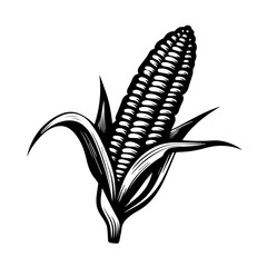 Fresh Corn on the Cob Vector Illustration