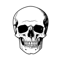 Intricate Skull Design Vector Illustration